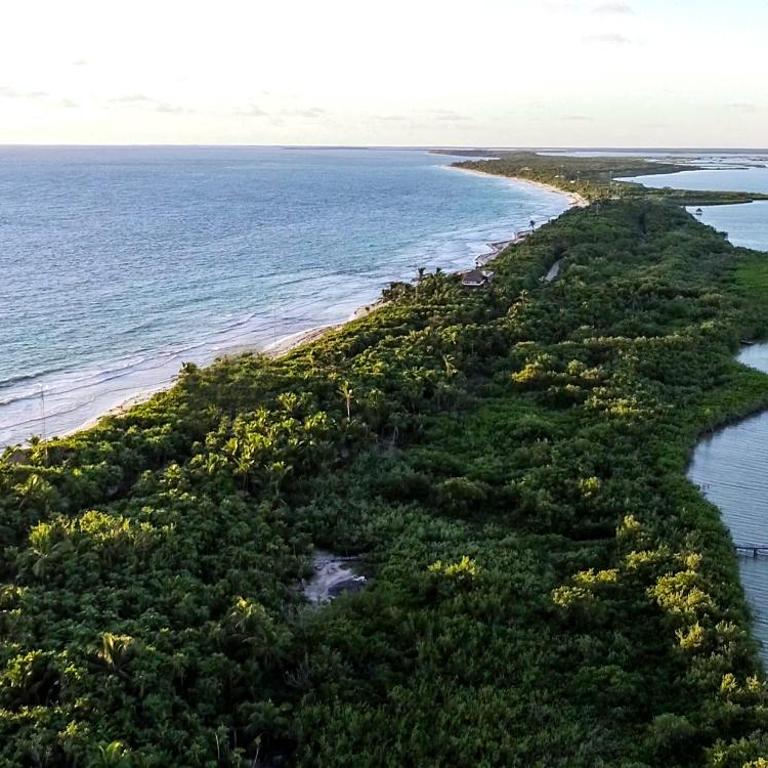 Villa Destiny Tulum beach front luxury villa - Villa - 2