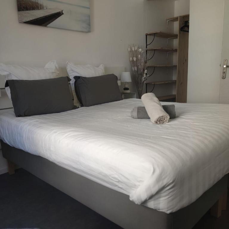 Cannes Holiday suite à 2 pas du festival et plages - Appartement 1 Chambre - 18