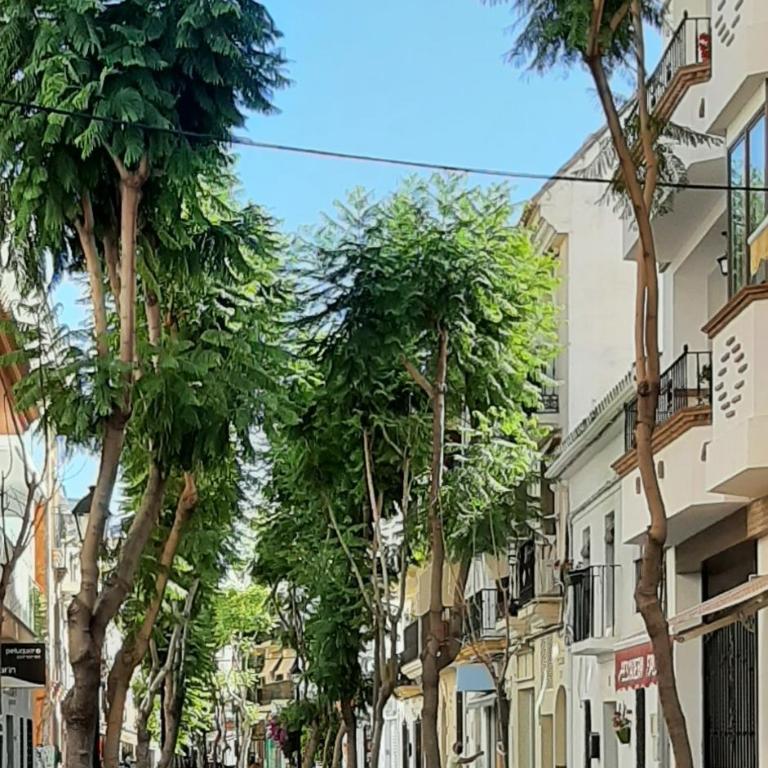 Valinor Apartments Boliches - Apartamento de 1 dormitorio - 51