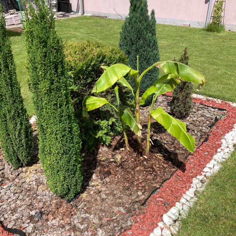 Charlie&Blueberries - Apartman sa 2 Spavaće Sobe - 37