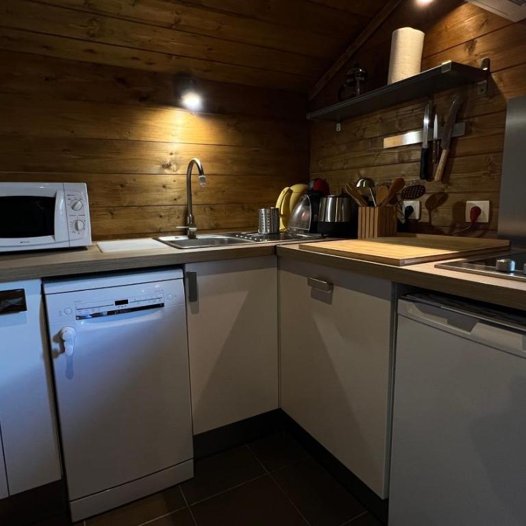 mini duplex dans chalet - Chalet 1 Chambre - 16