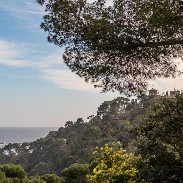 R-7 CALELLA DE PALAFRUGELL, 2 Pax - Apartamento de 1 dormitorio - 18