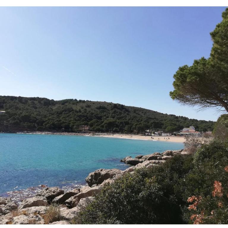 Résidence Cala Montgo - Apartamento de 3 dormitorios - 80