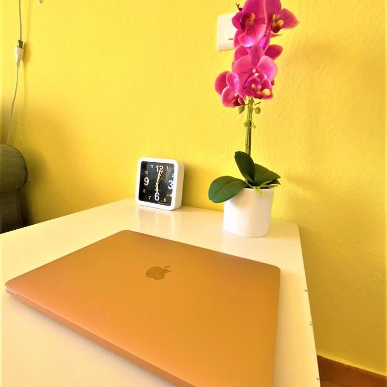 Cozy one bedroom apartment with spacious terrace. Pool and garden view - Apartamento de 1 dormitorio - 15