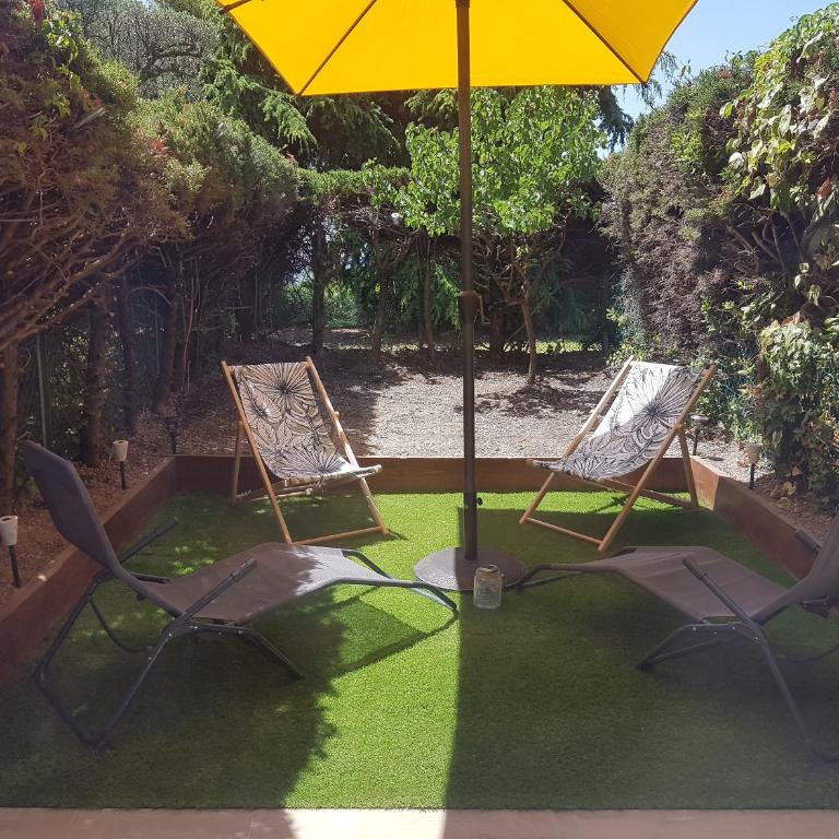 Studio Le Pénéqué des Anges - Studio mit Gartenblick - 1