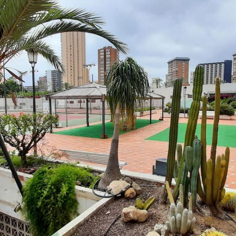 BENIDORM GEMELOS II ONE, impresionante vista - Two-Bedroom Apartment - 25