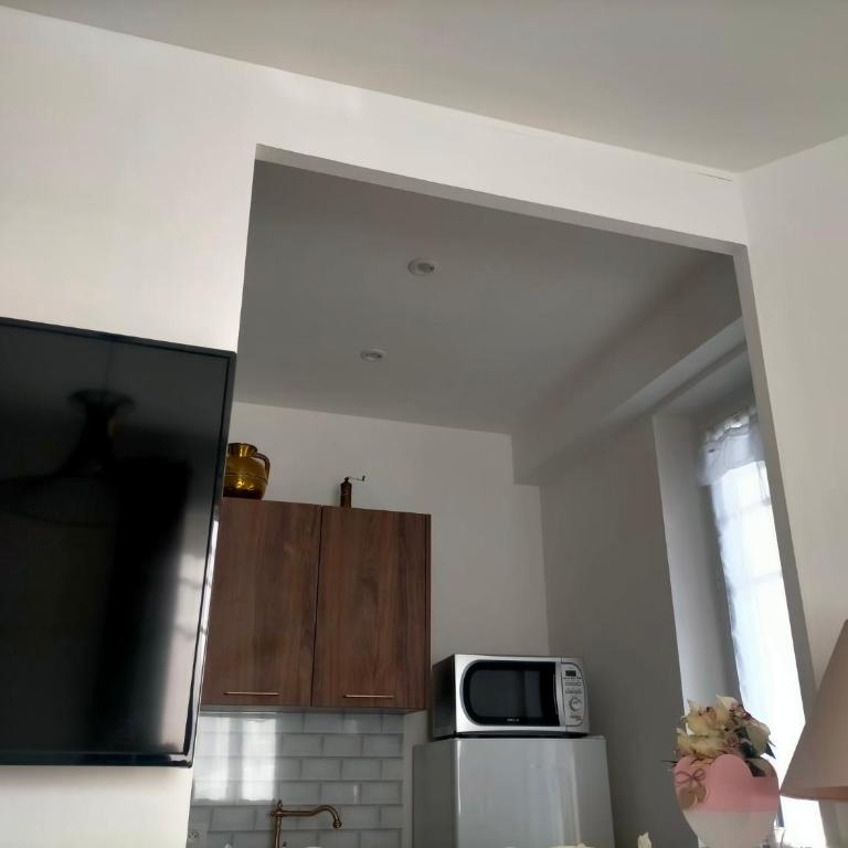 Proche du Stade Omnisports et à pied du Lac - Appartement 1 Chambre - 19