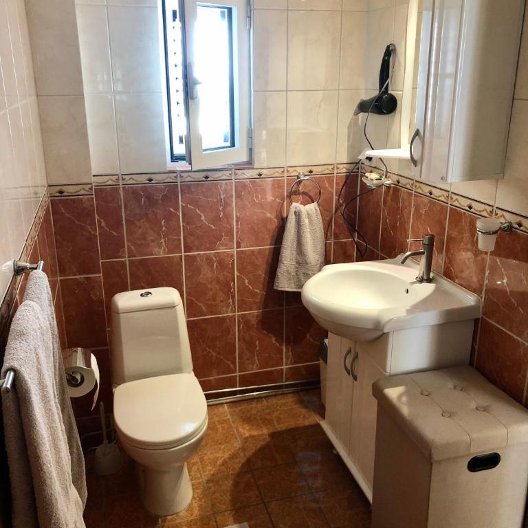 Petrovac Holiday apartments 1 - Apartman sa 1 Spavaćom Sobom - 10