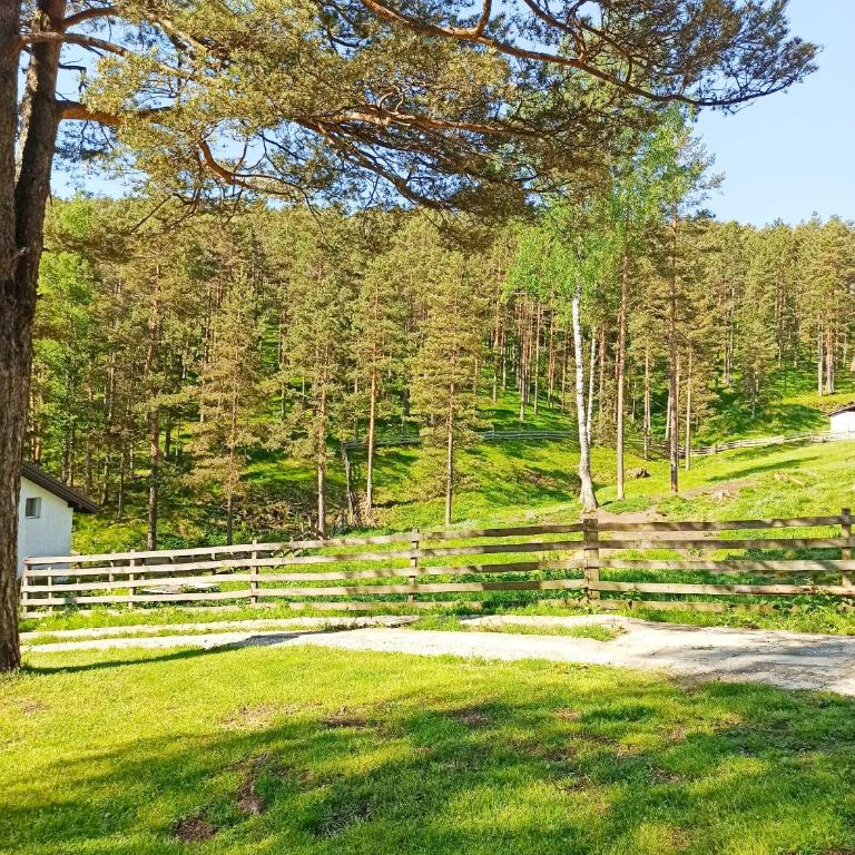 Kuća za odmor-Aleksandra - Vikendica - 15