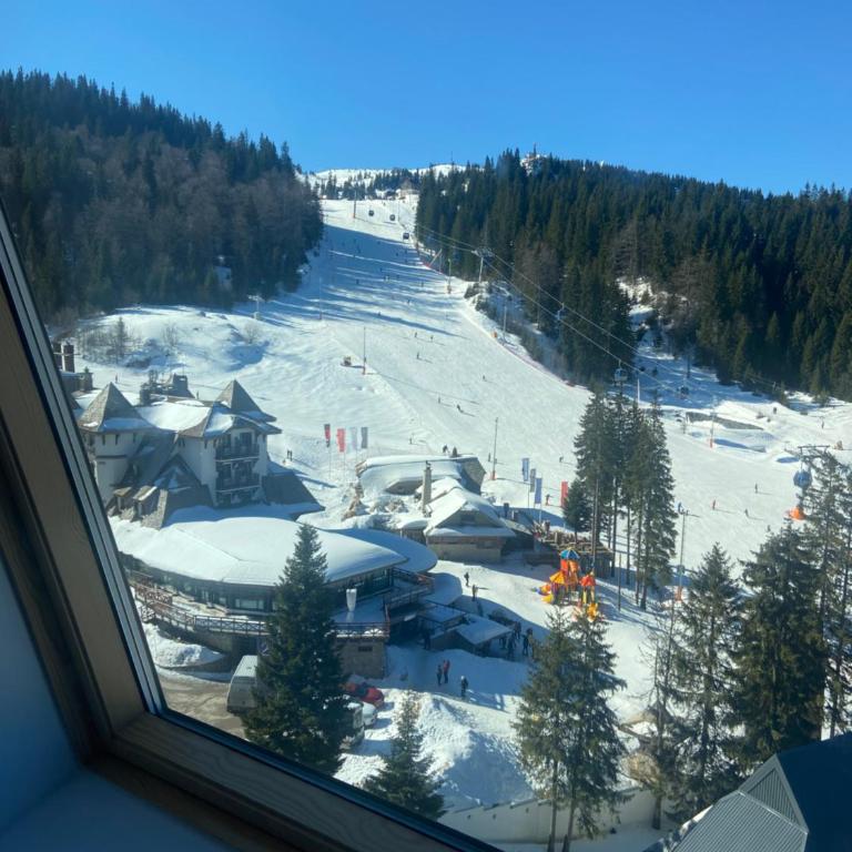 Penthouse Eleni - Olimpijska Kuca Jahorina - One-Bedroom Apartment - 5