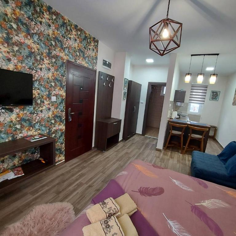 Apartmani Borova Iglica Divčibare - Deluks Dvokrevetna Soba sa Bračnim Krevetom/Zasebnim Krevetima i Pogledom na Planinu - 15