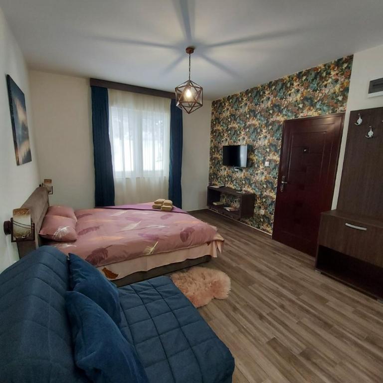 Apartmani Borova Iglica Divčibare - Deluks Dvokrevetna Soba sa Bračnim Krevetom/Zasebnim Krevetima i Pogledom na Planinu - 16
