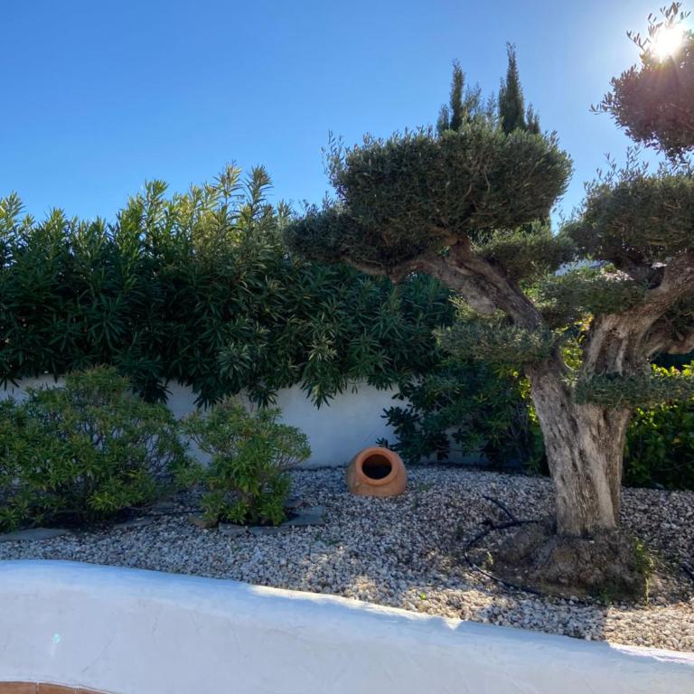 Jávea Villa entière piscine et cuisine d'été à pinosol - Villa de 2 dormitorios - 26