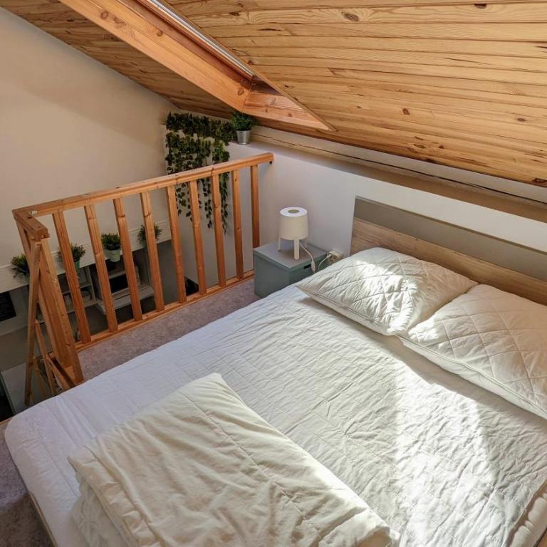 Studio Mezzanine Chez Papou, Ville et Forêt - One-Bedroom Apartment - 6