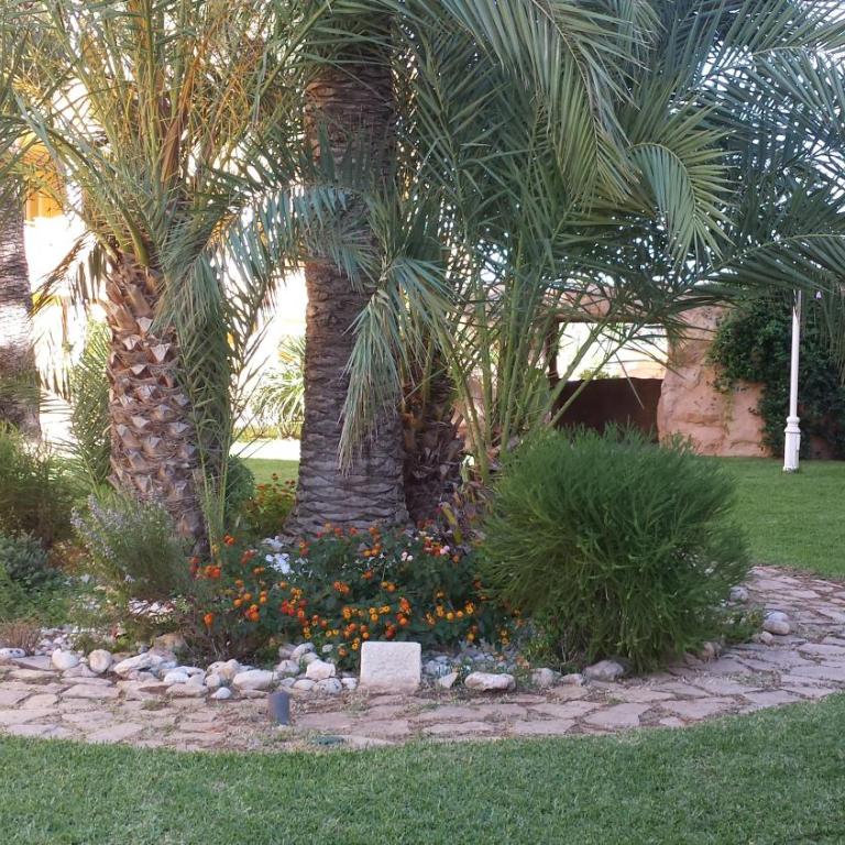 Apartamento en Cascadas de la Marina - Apartamento de 2 dormitorios - 30