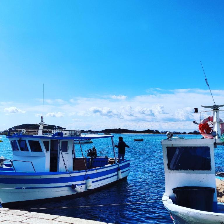 Petrarussa Superior di Porto Cesareo - Villa con Vista Giardino - 14