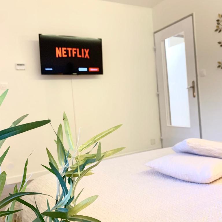 L'appart des Tanneurs - Appartement - 3