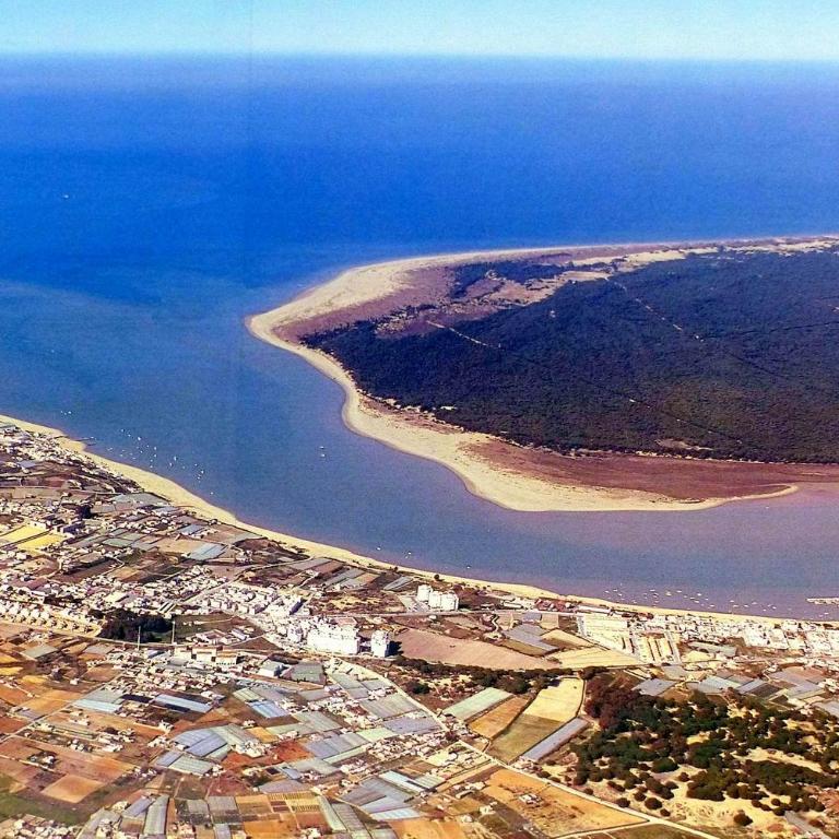 APTARTAMENTO DOÑANA RECIEN REFORMADO Parking gratis - Apartamento - Planta baja - 55