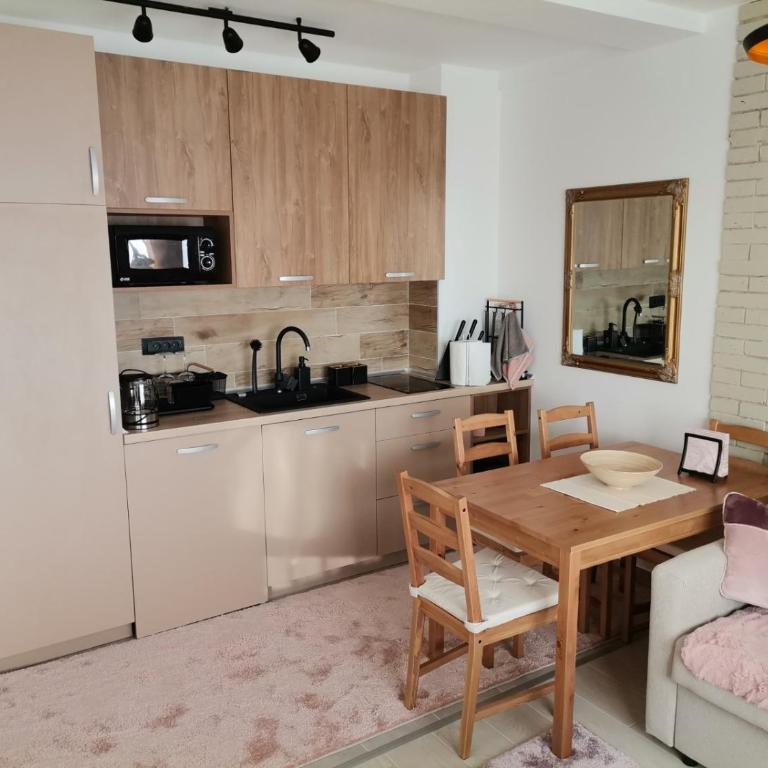 Apartman N101, Milmari, Kopaonik - One-Bedroom Apartment - 11