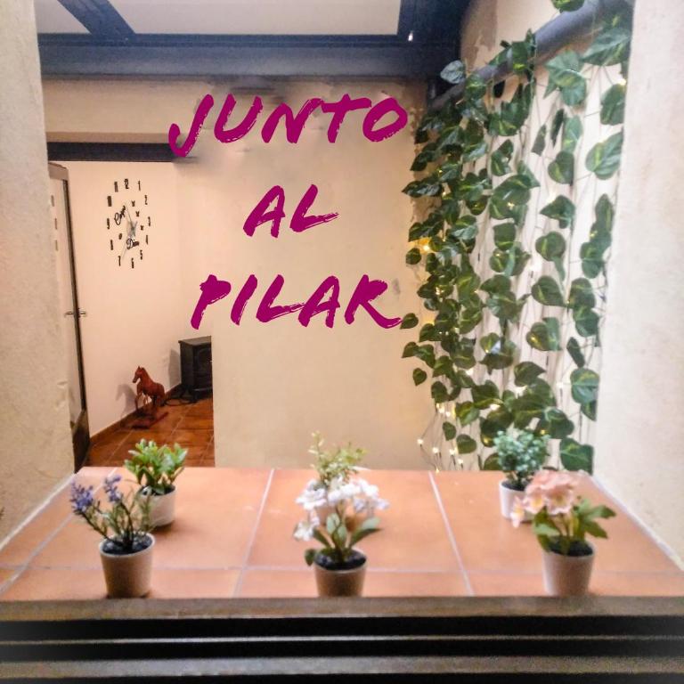 JUNTO AL PILAR - Three-Bedroom Apartment - 18