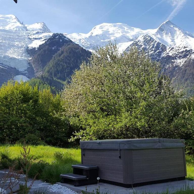 Luxury Spacious Chalet in Chamonix - Chalet - 4