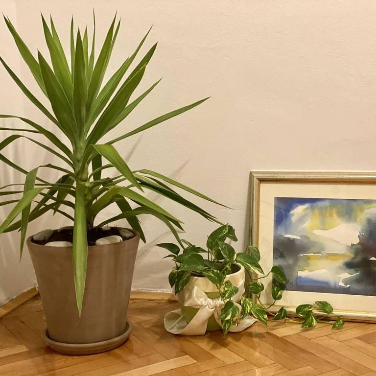 Apartman Sanja - Apartman sa 2 Spavaće Sobe - 9