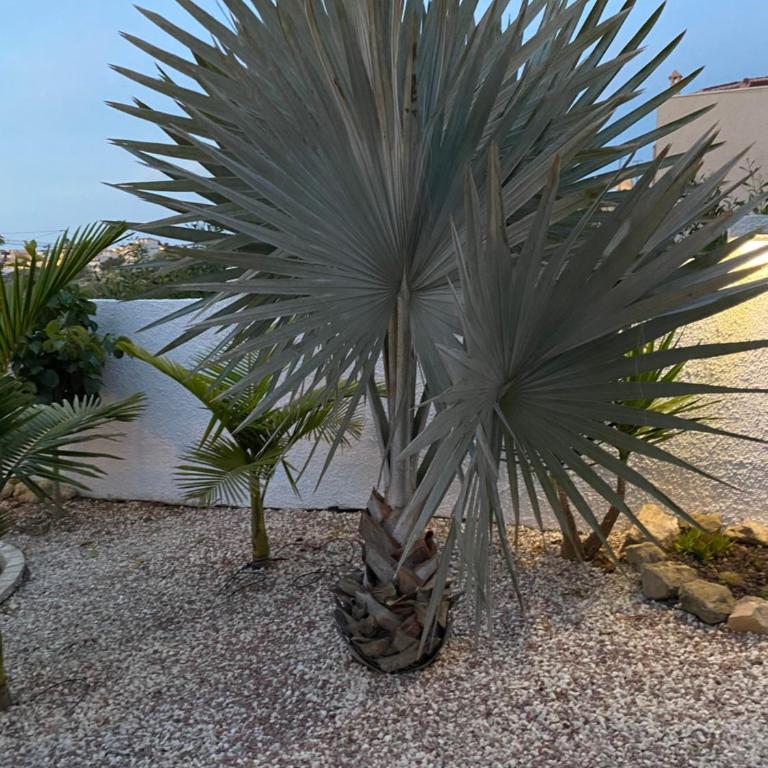 Casa di Paddy - Villa con piscina privada - 18