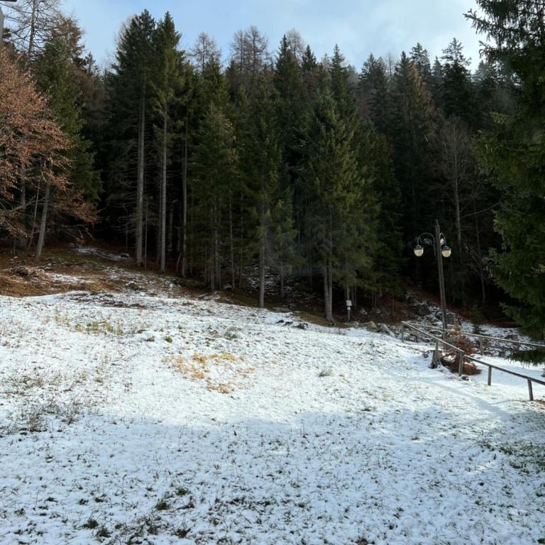 LaCasaNana: monolocale nuovo CIPAT022247-AT-963219 - Appartamento con 1 Camera da Letto - 10