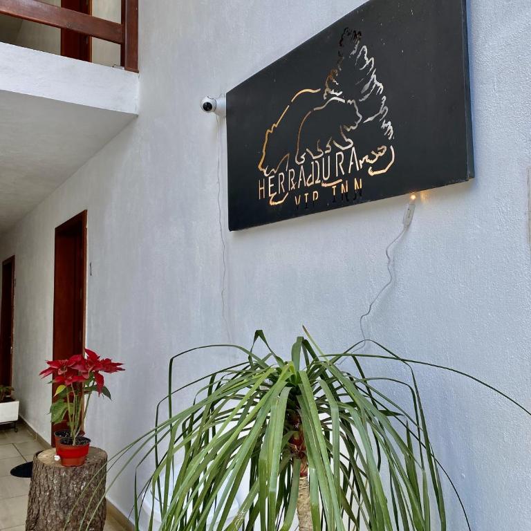 Herradura VIP Inn - Apartamento de 2 dormitorios - 7