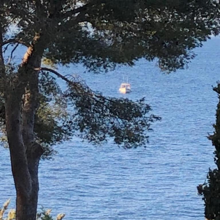 La Bonbonnière un oasis à Fréjus Plage 4 pers - Apartment mit 2 Schlafzimmern - 2