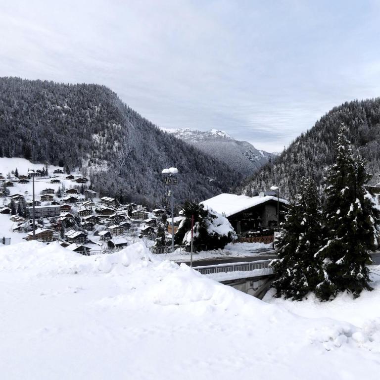 GROTTE AUX FEES D, appartement 6 pers, skis aux pieds - Appartamento - Piano Terra - 10