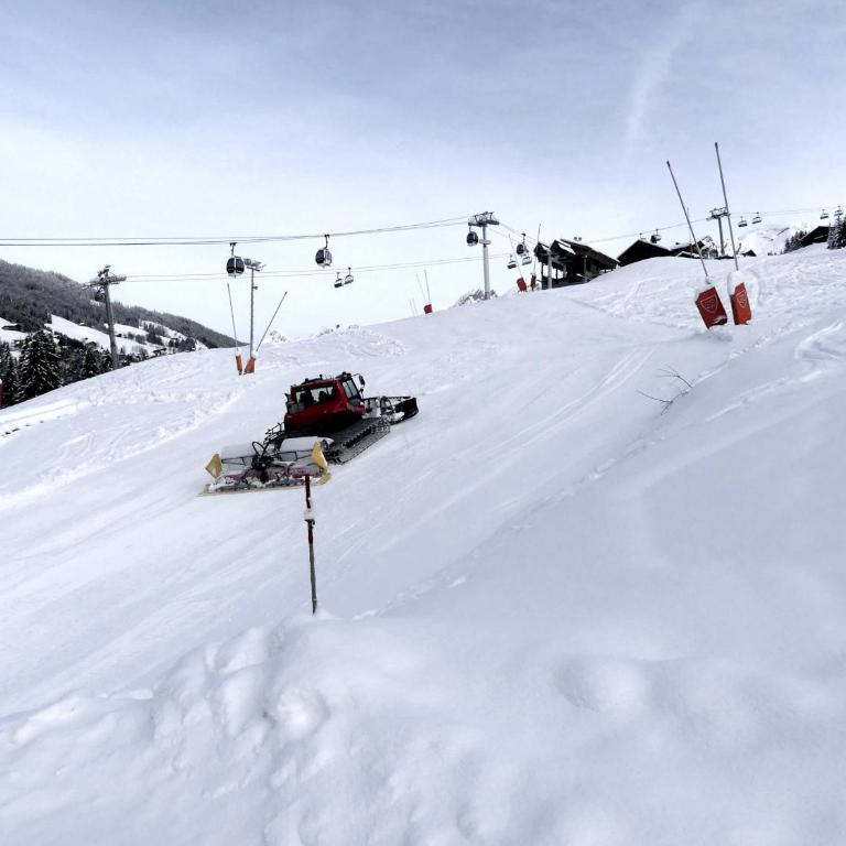 GROTTE AUX FEES A, appartement skis aux pieds - Apartamento de 2 dormitorios - 6