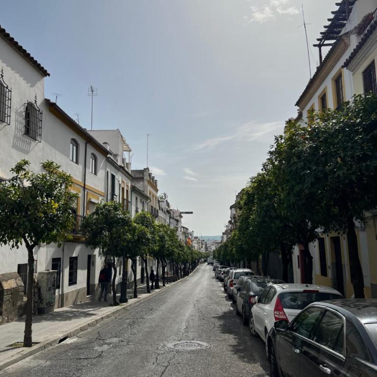 Apartamento San Fernando - Apartamento de 2 dormitorios - 17