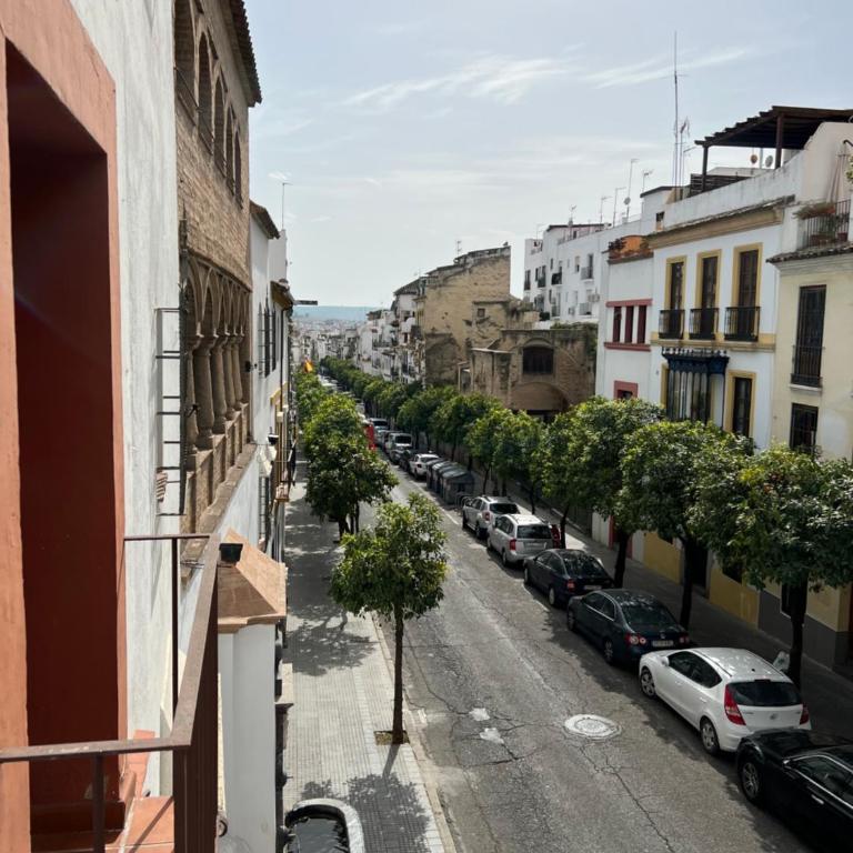 Apartamento San Fernando - Apartamento de 2 dormitorios - 16