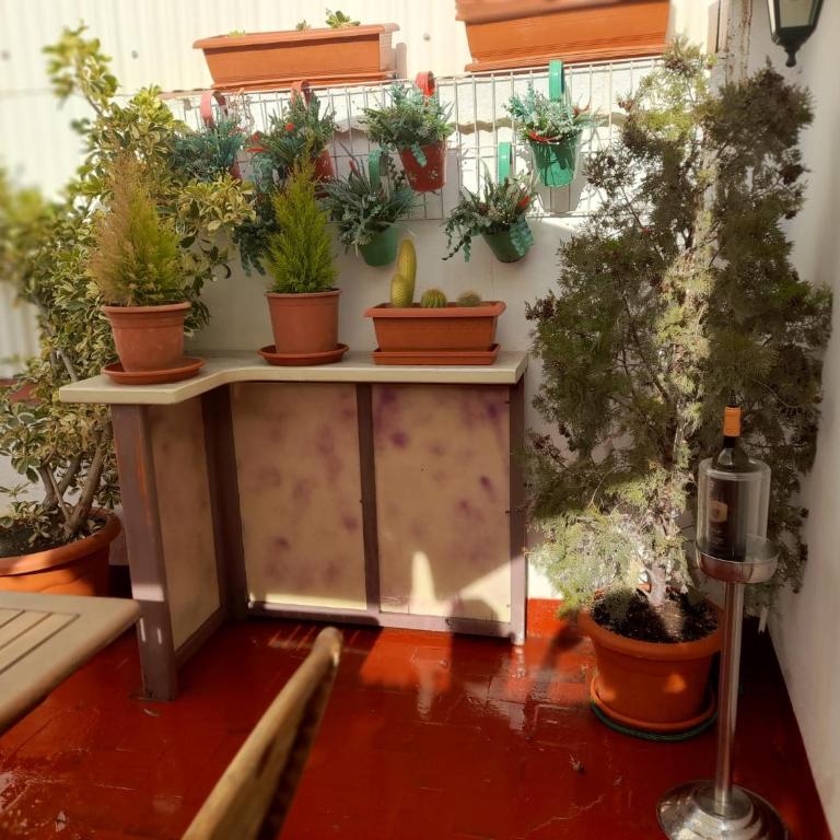 La Terraza - Estudio con terraza - 9