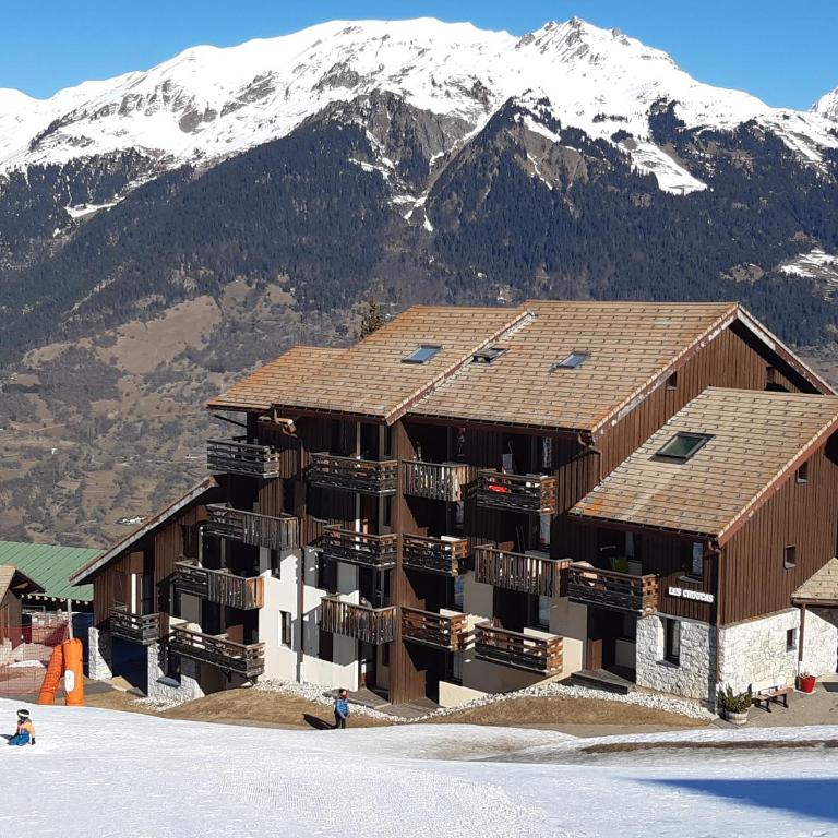 Studio 442 au pied des pistes La Plagne - Apartamento con vistas a las montañas - 1