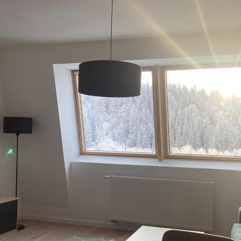 Penthouse Eleni - Olimpijska Kuca Jahorina - One-Bedroom Apartment - 32