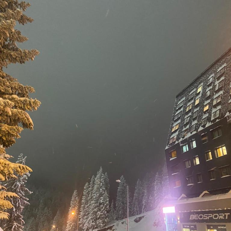 Penthouse Eleni - Olimpijska Kuca Jahorina - One-Bedroom Apartment - 38