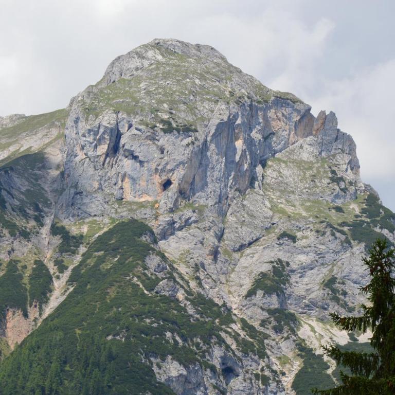 Roseggerhaus - Apartment mit Blick auf die Berge - 4