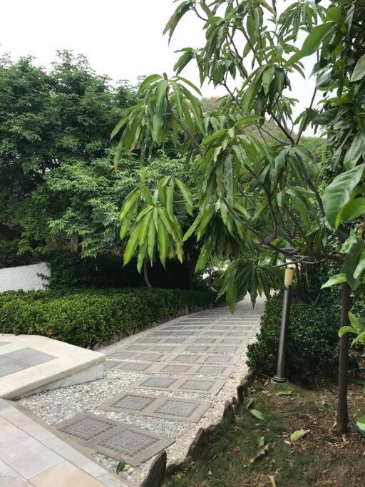 Apartamento Duplex en Santa Marta, Pozos Colorados - Apartamento de 2 dormitorios - 13