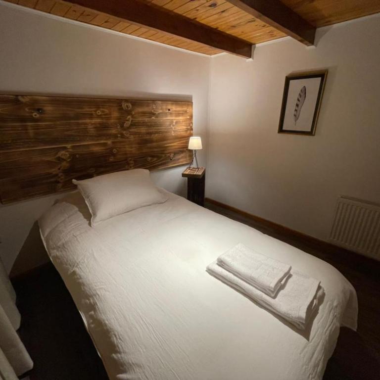 HOTEL VOLKANICO - Habitación Individual con baño privado - 4