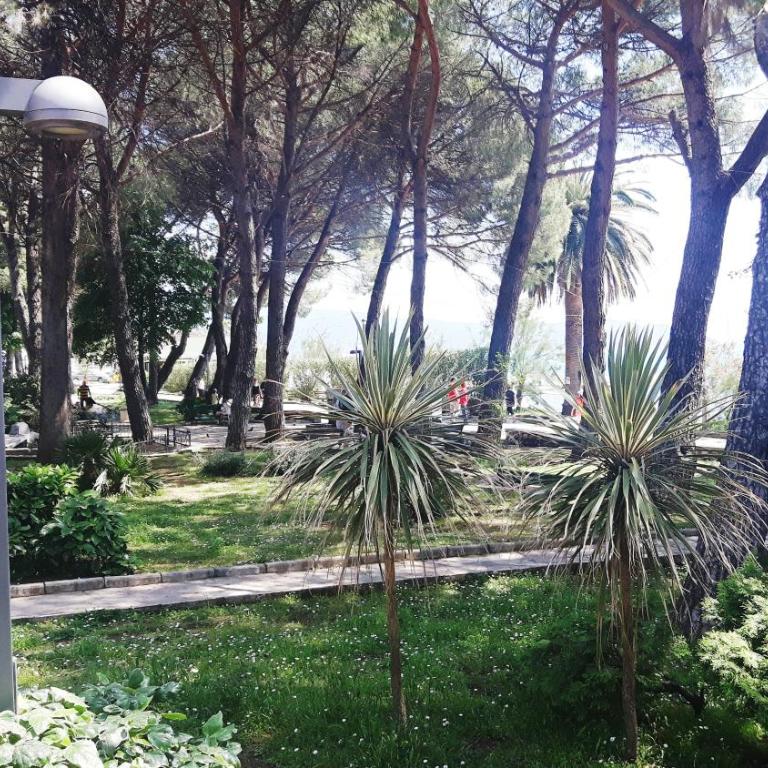 Apartments Vlaovic Igalo - Herceg Novi - Studio with Sea View - 21