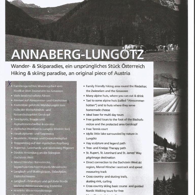 Schwarzenbacher - Apartment - 39