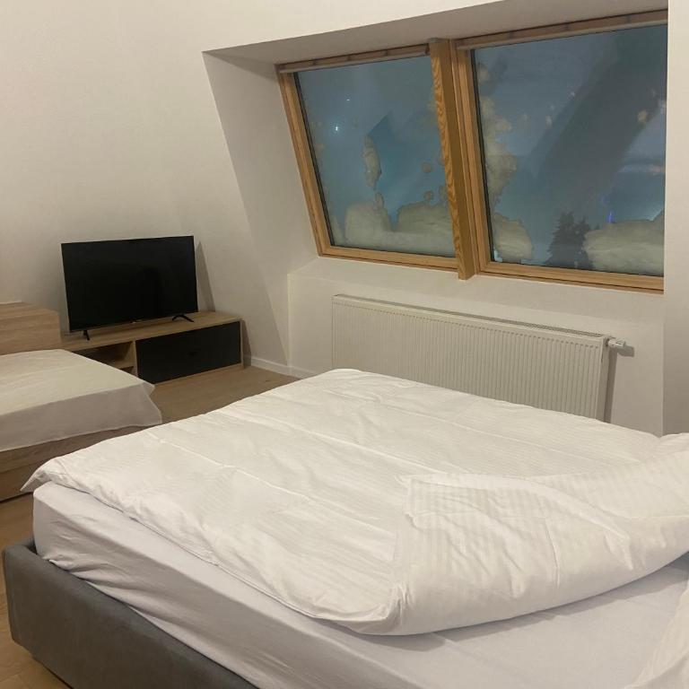 Penthouse Eleni - Olimpijska Kuca Jahorina - One-Bedroom Apartment - 27