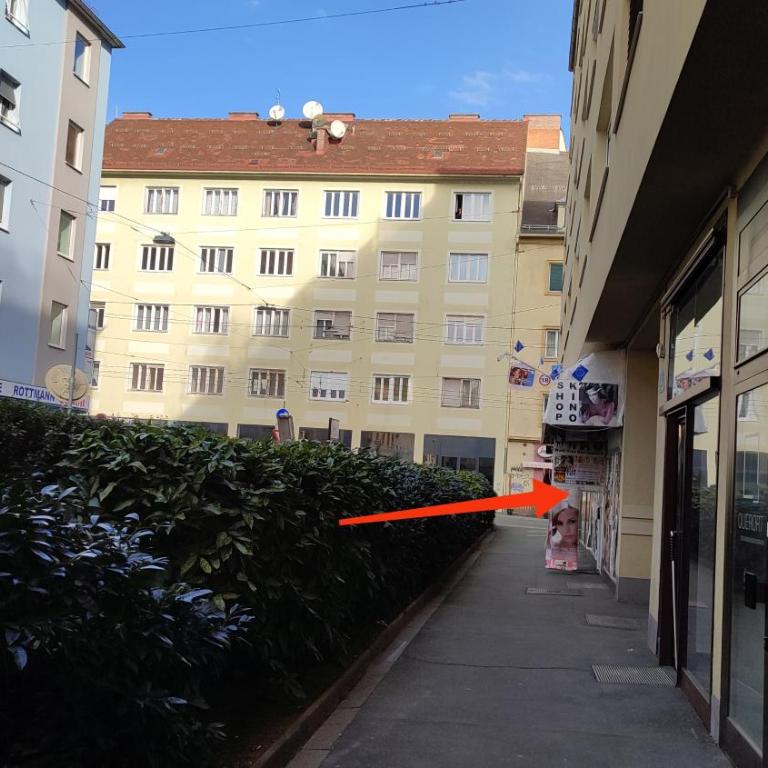 Vintage Apartment - Apartment mit 1 Schlafzimmer - 45