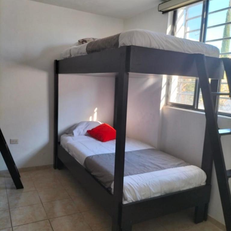 Hostal San Bernabé - Bed in 4-Bed Mixed Dormitory Room - 2