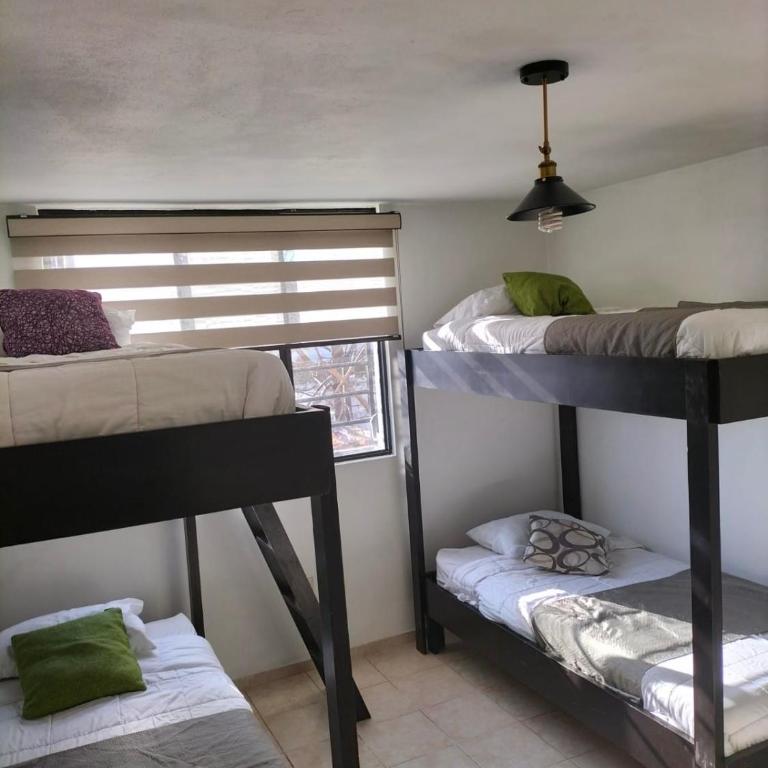 Hostal San Bernabé - Bed in 4-Bed Mixed Dormitory Room - 4