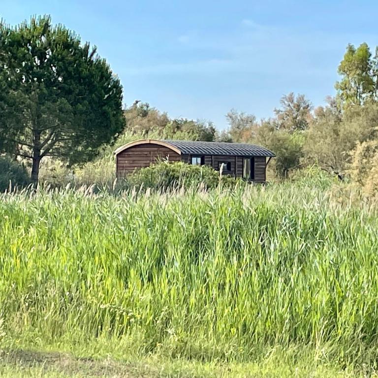Mas du Couvin, maison d'hôtes en Camargue - Casa con 5 Camere da Letto - 22