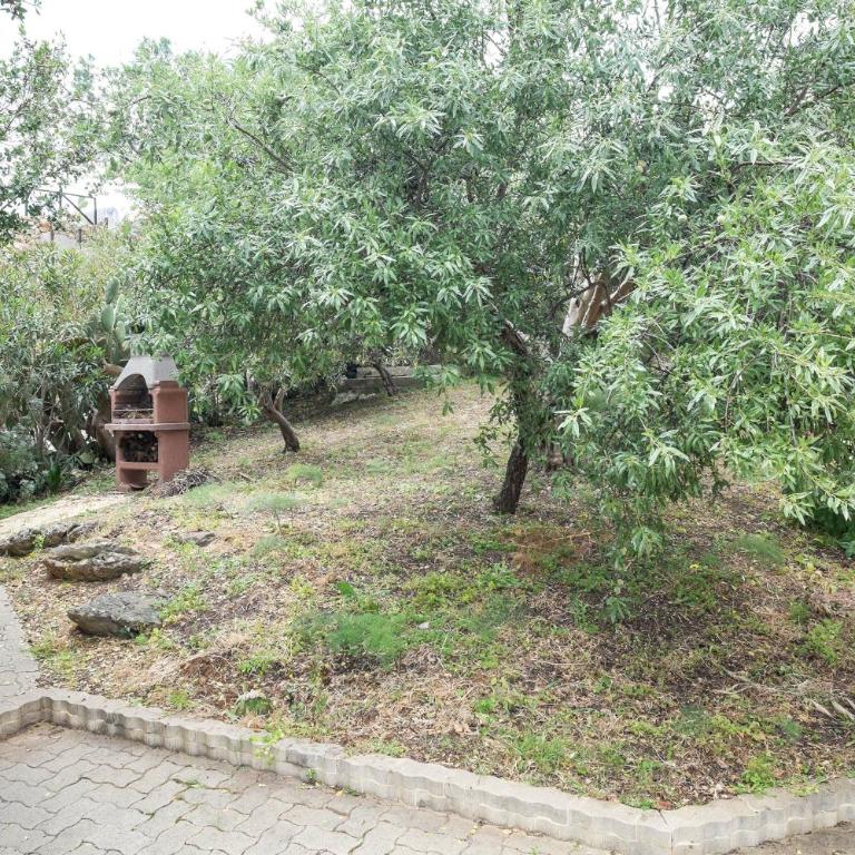 VILLA BIFAMILIARE SCOPELLO - Apartment with Sea View - 5