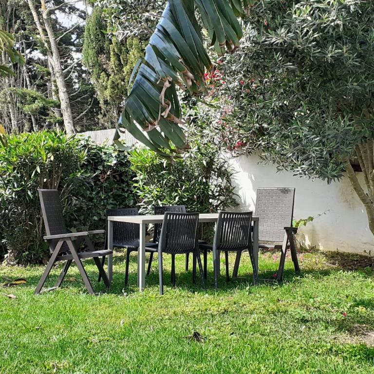 Chalet Zorollo con piscina - Casa - 2